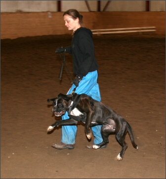 Training in Estonia 11/2007